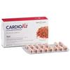 Bios line Cardiovis colesterolo 60 capsule