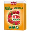 Winter vitamina c plus 1000 rosa canina + acerola 32 compresse