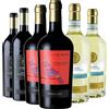 Tinazzi Degustazione 6 bt Veneto - Tinazzi