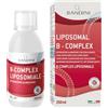 Bandini® Vitamina B Complex Liposomiale Liquida 250ml - Complesso di Vitamine Gruppo B ad Alto Dosaggio B1, B2, B3, B5, B6, B7, B9, B12 - Integratore Liquido B-Complex 100% Vegan - Prodotto in Italia