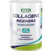 Why Nature Collagene Rigenera | 330 grammi