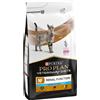 PURINA PRO PLAN Veterinary Diets Feline NF - Renal Function Advanced Care - Set %: 2 x 5 kg