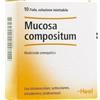 Heel Mucosa Compositum Medicinale Omeopatico 10 Fiale