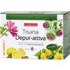 NATURWAREN ITALIA Srl Tisane Naturplus Tisana Depur-Attiva Dr. Theiss 20 Filtri