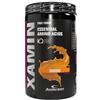 ANDERSON XAMIN Barattolo 312 g gusto Arancia - Integratore a base di amino acidi essenziali in polvere Kyowa Quality