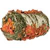 Trixie Balla di fieno con zucca e carota 200 g