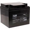 FIAMM Batteria Ricaricabile al Piombo FG24204 VDS