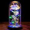 PASDTFB Regalo San Valentino per Lei Rosa Eterna Idee Regalo Donna Compleanno Rose Bella e la Bestia Regali San Valentino Rose Incantate con Luci LED in Cupola Vetro Regalo Mamma Amica Fidanzata Ragazza Nonna