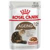 ROYAL CANIN Cat BST Ageing 12+ Gravy