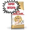 ROYAL CANIN GATTO ADULTO SPHYNX 400 G