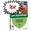 ELANCO ADVANTAGE SPOT ON GATTI 0,8ML 4 PIPETTE SUPERIORE A 4 KG SCADENZA 03-2027 PREZZO A CONFEZIONE