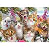Schmidt 58391 Jigsaw Puzzle Cat Selfie (500 pcs)