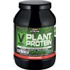 Enervit Gymline Muscle Vegetal Protein Cacao 900g