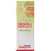 Biokyma Propoli Estratto Idroalcolico 1:3 100 Ml