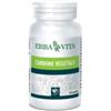 ERBA VITA GROUP SPA Carbone Vegetale 100 Tavolette