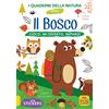 Macro Junior Il bosco. Gioco, mi diverto, imparo! Con adesivi. Ediz. illustrata