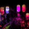 Artemide Gople Sospensione RWB