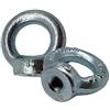 DOJA Barcelona DOJA Industrial | Occhiello Sollevamento | Femmina M6 | 5 Pezzi | Anelli Acciaio Galvanizzato per Sollevare Pesi | Golfare Femmina| Dadi Occhio Sollevamento | Uso: Catena Sollevamento, Sacco da Boxe..