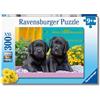 Ravensburger - Puzzle XXL Vita Da Cani | Puzzle 9 Anni In Su | Puzzle Bambini Da 300 Pezzi In Regalo | Regalo Bambino 9 Anni 49 X 36 Cm | Puzzles Ravensburger