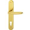 HOPPE 2857673 - Maniglia Rosy su piastra lunga, distanza 88 mm, per porte di spessore 35-54 mm, ottone lucido