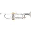 GEWA Roy Benson Bb Trumpet Charli Green Signature-Model (perla sonora placcata in argento premium, con accenti placcati in oro, custodia rettangolare di lusso inclusa, con set di zaini)