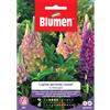 Blumen lupino perenne russel in miscuglio