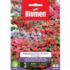Blumen impatiens o fior di vetro in miscuglio