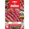 Blumen Fagiolo borlotto nano lingua di fuoco