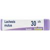 Boiron Lachesis mutus 30 ch globuli