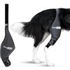 Ortocanis - Ginocchiera per Cane - Zampa Posteriore Sinistra - Realizzata in Neoprene ARD - Rottura del LCA, Lesioni del Legamento, Lussazione della Rotula - Taglia Medium (11,5-12,2 )