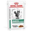 Royal Canin Veterinary Diet Royal Canin Diabetic Feline Veterinary umido gatto - 12 x 85 g