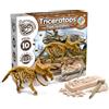Science4you - Kit Dinosauri Triceratopo - Fossili da Scavare, Assemblare Gli 10 Pezzi di Dinosauro - Scheletro Dinosauro da Construire, Kit Paleontologo e Giochi Archeologia per Bambini +6 Anni
