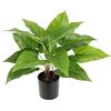Flair Flower Pothos - Pianta artificiale in vaso di foglie di anthurium, piante fotografiche da interni, decorazione in seta, piante artificiali, pianta decorativa, pianta verde, da ufficio, pianta artificiale