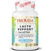 Provida Lacto Support per digerire lattosio, latte e latticini 40 Capsule Vegetali Provida Digestive Health, adatto a vegetariani e vegani
