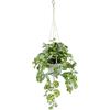 Flair Flower Fioriera artificiale per tradescantia, con vaso e fioriera sospesa, pianta artificiale da appendere, decorazione da appendere, ghirlanda, piante verdi da interni, pianta rampicante edera