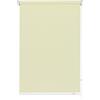 Gardinia Tenda a Rullo con Catenella Laterale, Installazione a Parete, soffitto o nicchia, Trasparente, Opaca, Kit di Montaggio Incluso, Champagne, 52 x 180 cm (LxA), Tessuto