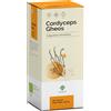 Cordyceps Gheos 90 Capsule