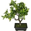 Flair Flower Bonsai - Albero artificiale in ciotola, per bonsai artificiale, pianta artificiale giapponese, pianta verde, albero decorativo come vero, grande decorazione per piante, ciotola per bonsai, alberi