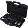 KS Tools 150.3100 Serie di chiavi combinate p.alternatori,13pz