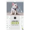 Finocam - Calendario 2023 immagini da parete spirale per scrivere Gennaio 2023 - Dicembre 2023 (12 mesi) Cuccioli catalani