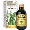 Dr. Giorgini GEMMO 10+ SEQUOIA 100 ML LIQUIDO ANALCOLICO