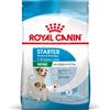 ROYAL CANIN Mini Starter Mother & Babydog 8 kg crocchette per cagne e cuccioli in gravidanza e in allattamento da 4 a 8 settimane di età, di piccola taglia