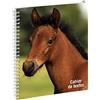 Exacompta - 999163E - Quaderno di testo Animali - Copertina rivestita con film con spirale in metallo e linguette di colori settimanali staccabili - 17 cm x 22 cm - Motivo cavallo
