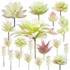 Cayway 20 Pz Succulente Piante Artificiali Cremoso e Rosa Piante Grasse Finte Decorative Uncotted Faux Flower Succulente per Parete DIY Home Decor
