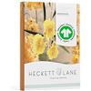 Heckett Lane Copripiumino, Empire Arancione, 260x220