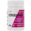 +Watt Citrullina+ in polvere 150 gr