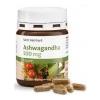 Sanct Bernhard, Ashwagandha, 60 cps