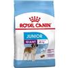 Royal canin giant junior 15 kg