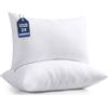 Utopia Bedding Set di 2 Cuscini, 40 x 60 cm Imbottitura per Cuscini, Cuscini Divano, Cuscino Interno (Bianco)
