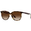 Ray-Ban RB 4378 (710/13)